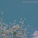 Psalm Trees
