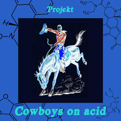 Picture of Projekt