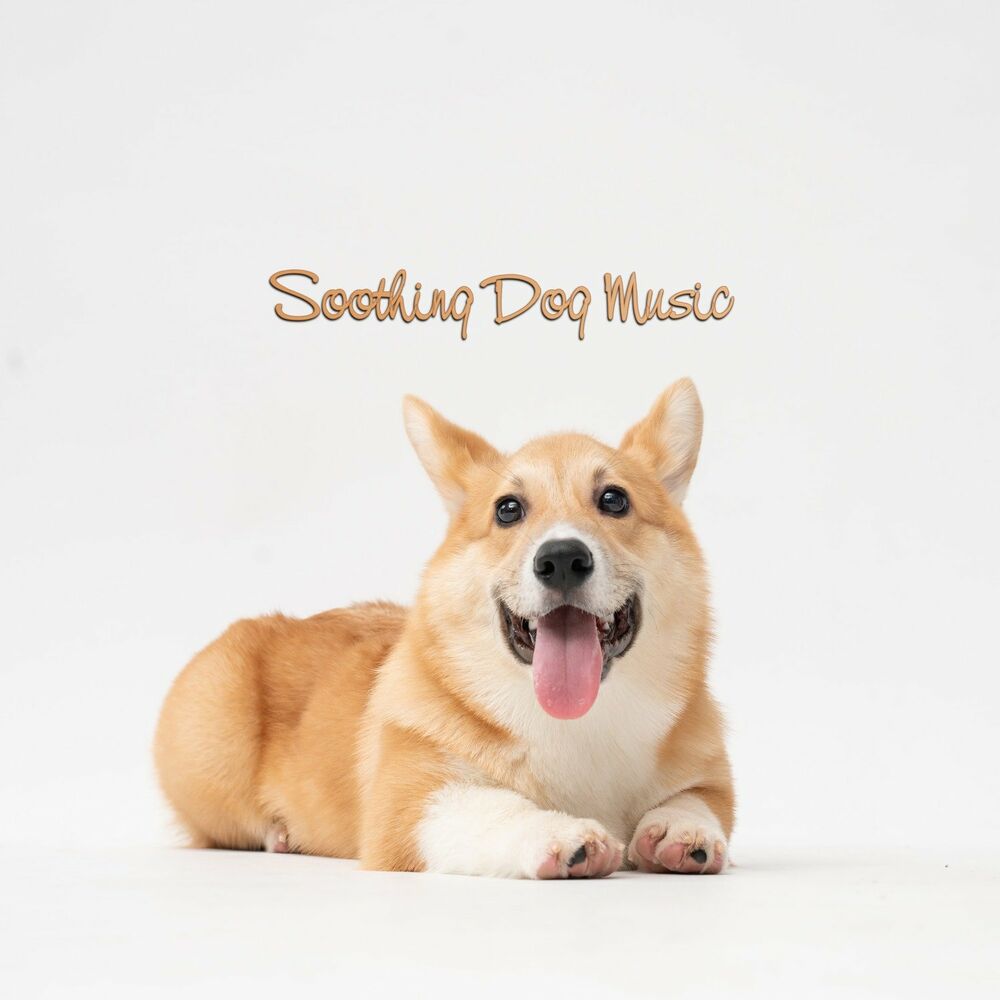 Picture of Sounds Dogs Love