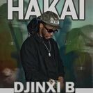 Djinxi b