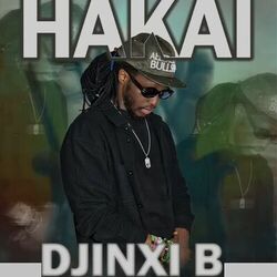 Picture of Djinxi b