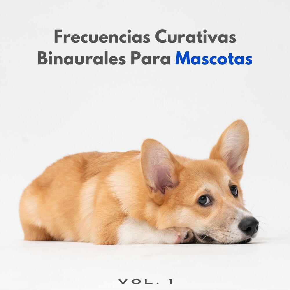 Picture of Lloviendo para mascotas tranquilas