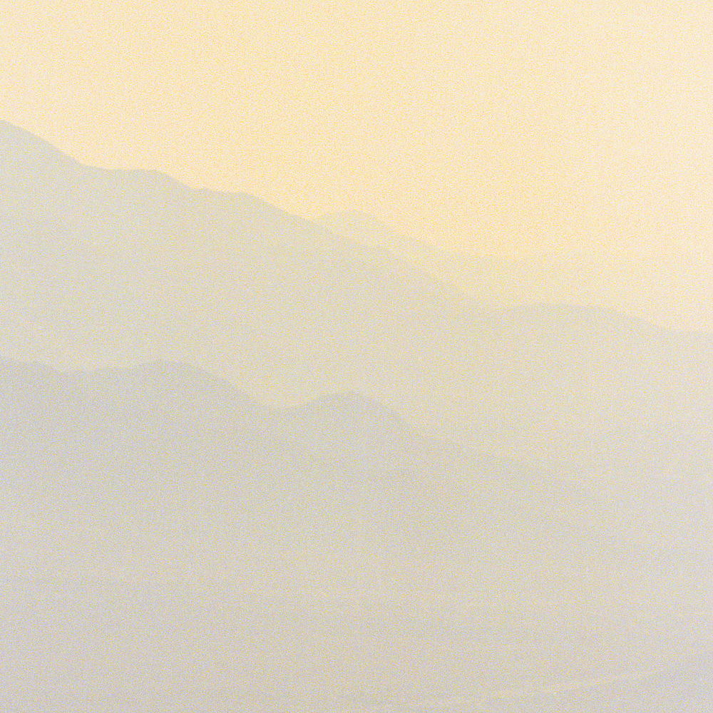 Photo de l'artiste The Alps