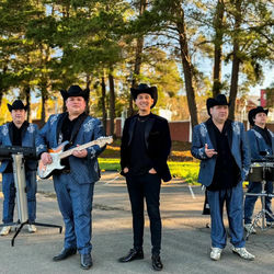 Los Gatos Negros