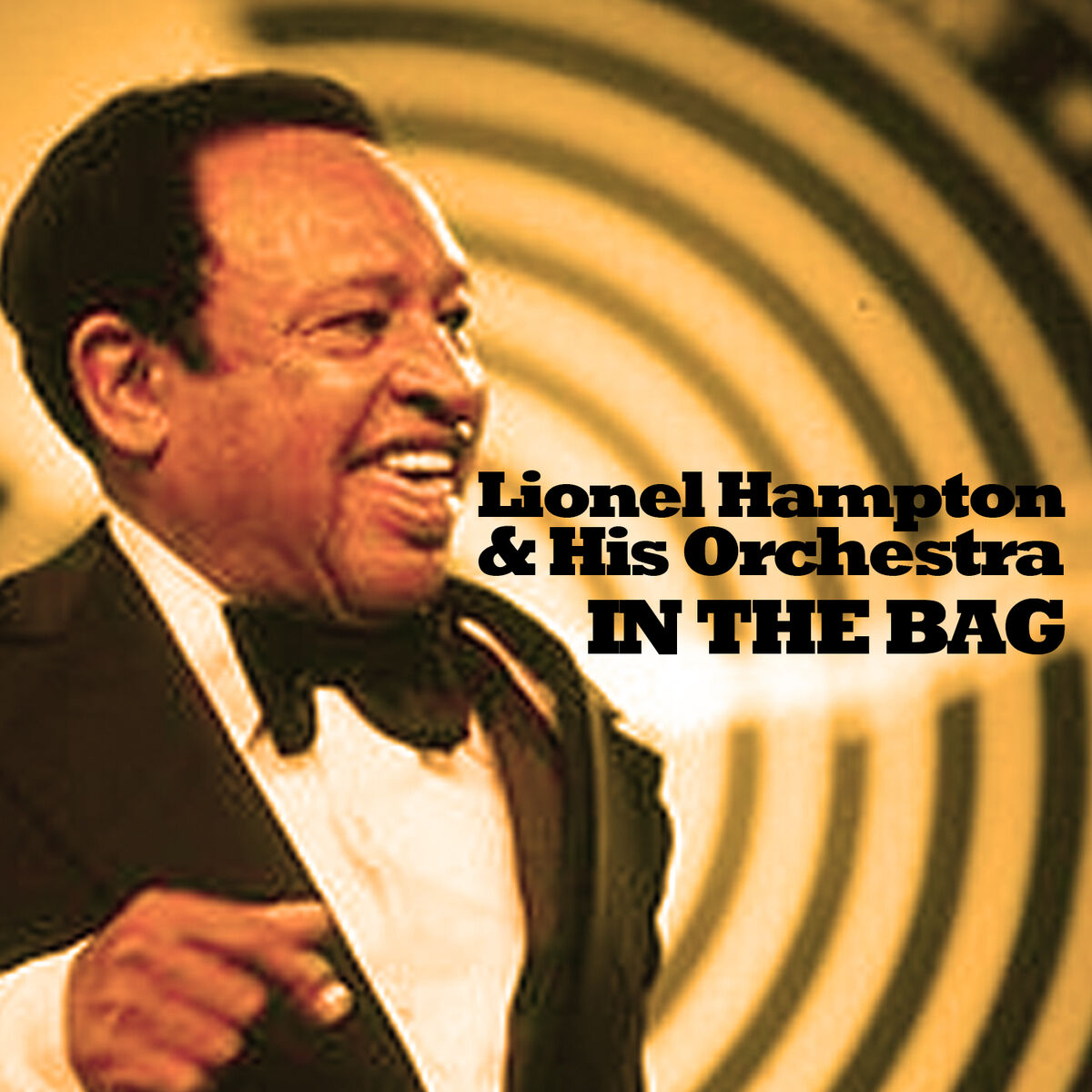 Artist picture of Lionel Hampton & His Orchestra