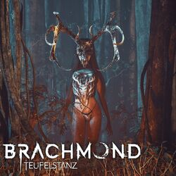 Picture of Brachmond