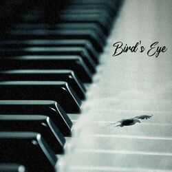 Picture of Bird's Eye