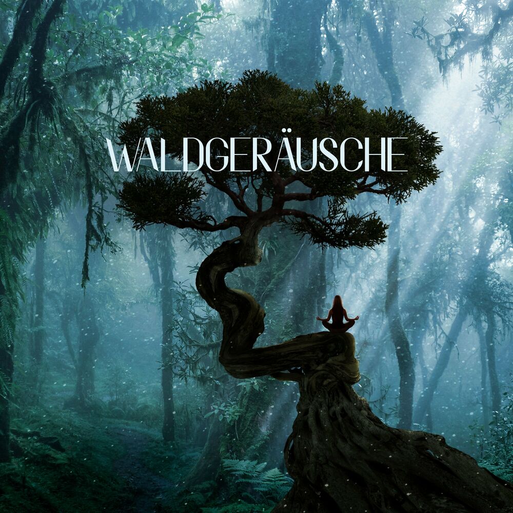 Picture of Ruhige Entspannende Atmosphäre
