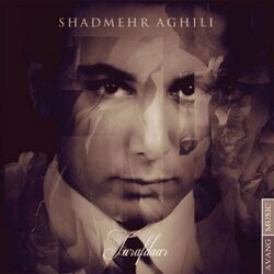 Picture of Shadmehr Aghili