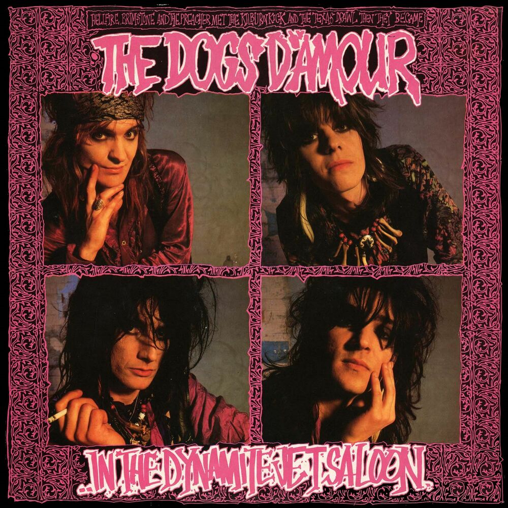 Picture of Dogs D'Amour