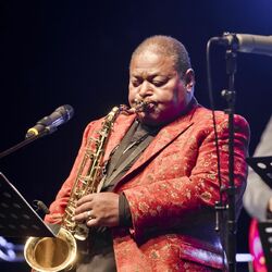 Picture of Pee Wee Ellis