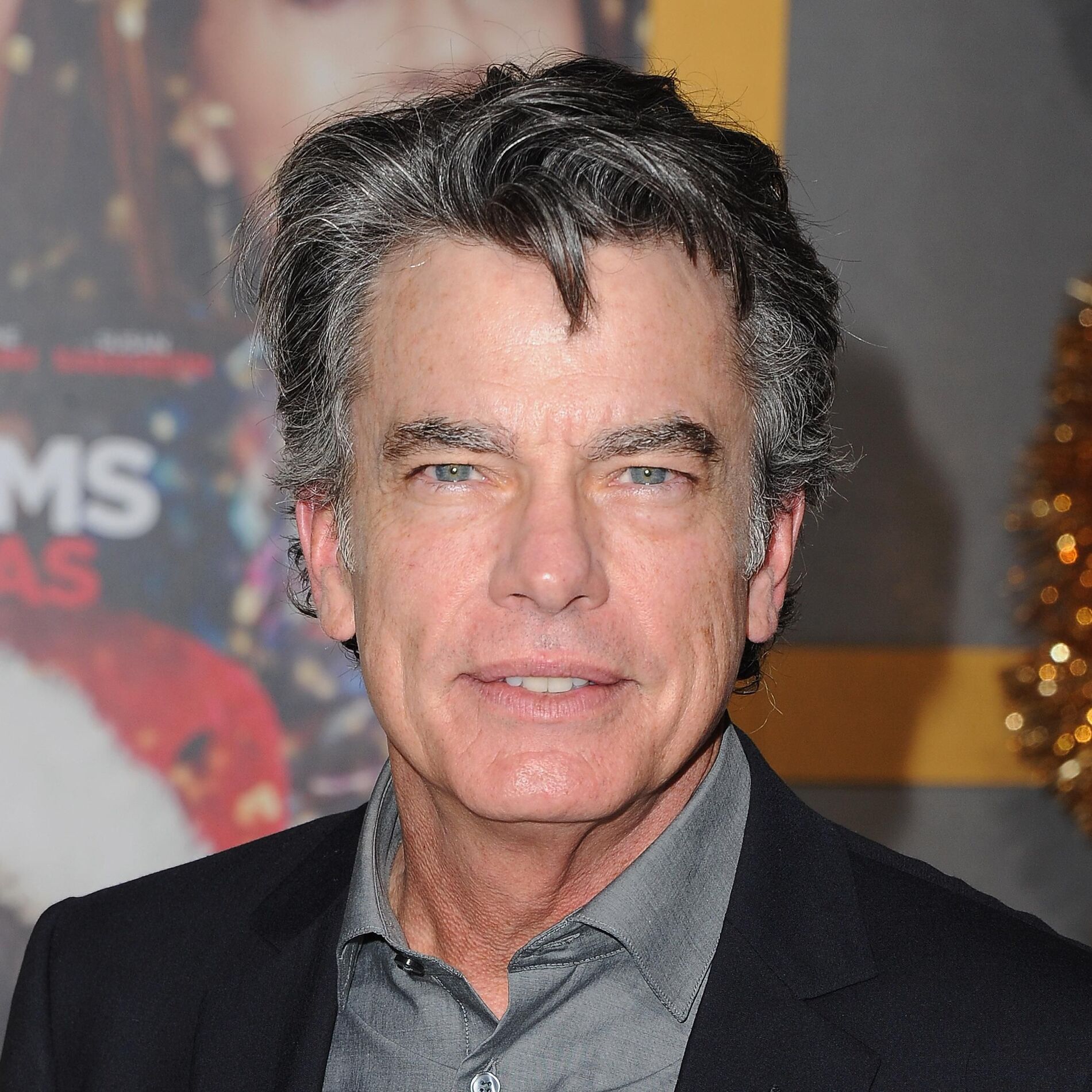Artist picture of Peter Gallagher