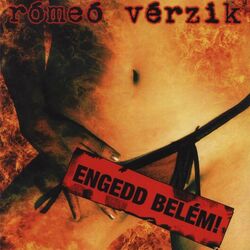 Picture of Rómeó Vérzik