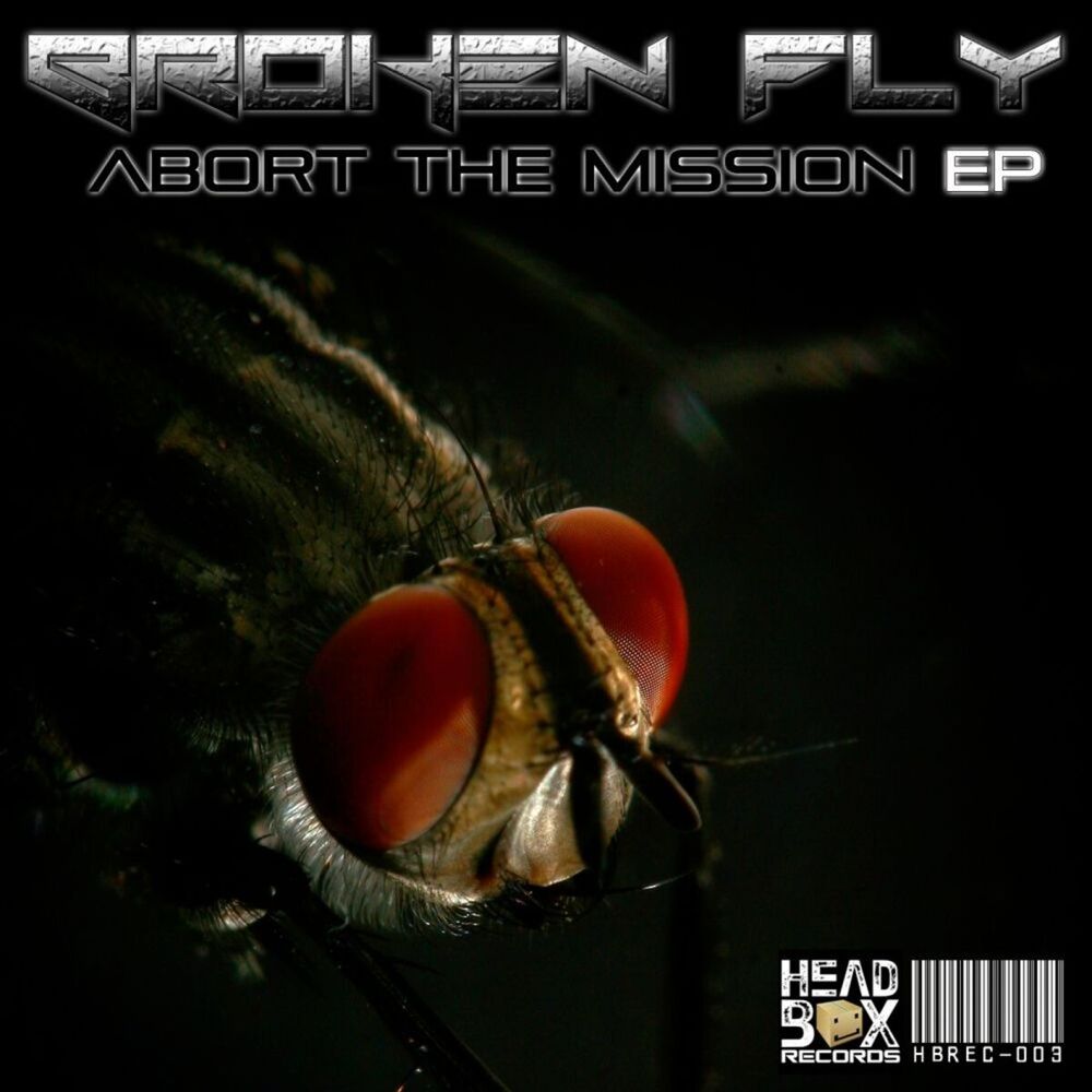 Picture of Broken Fly