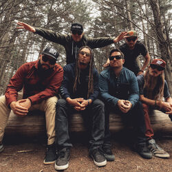 Picture of The Elovaters