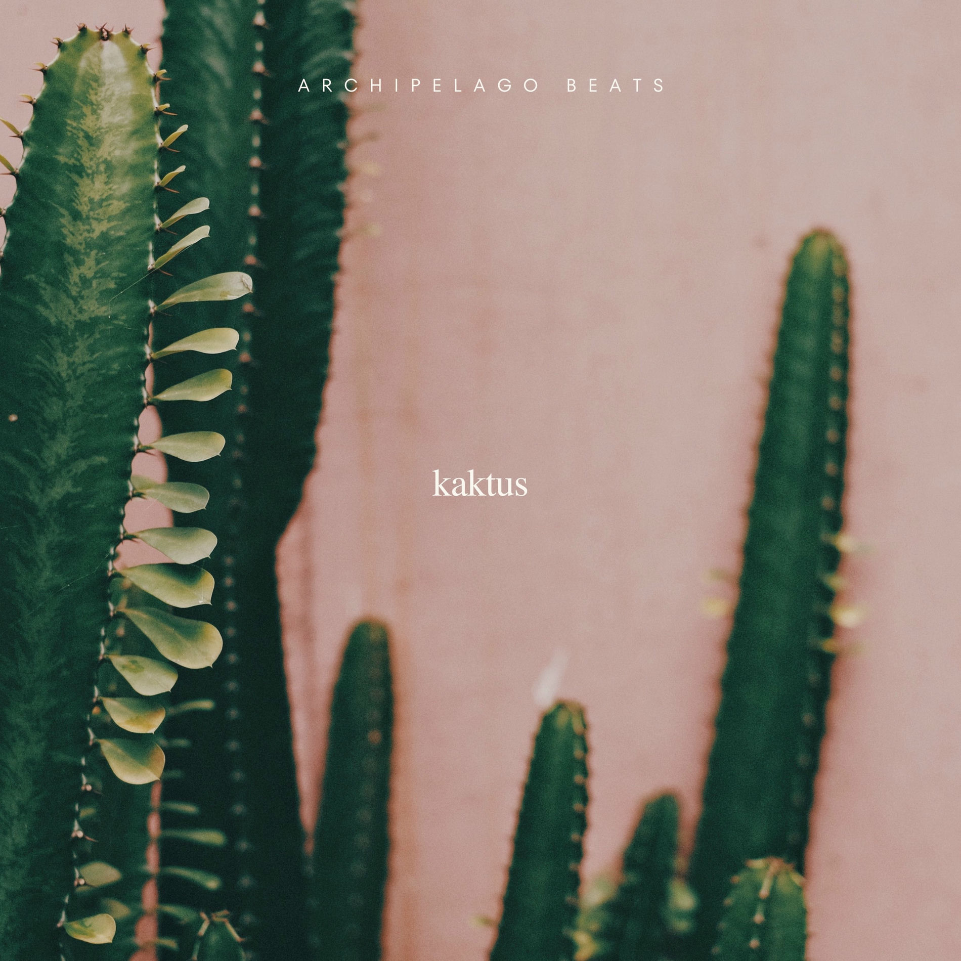 Artist picture of archipelago beats