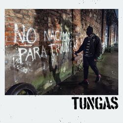 Picture of Tungas