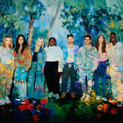 Picture of The Belonging Co
