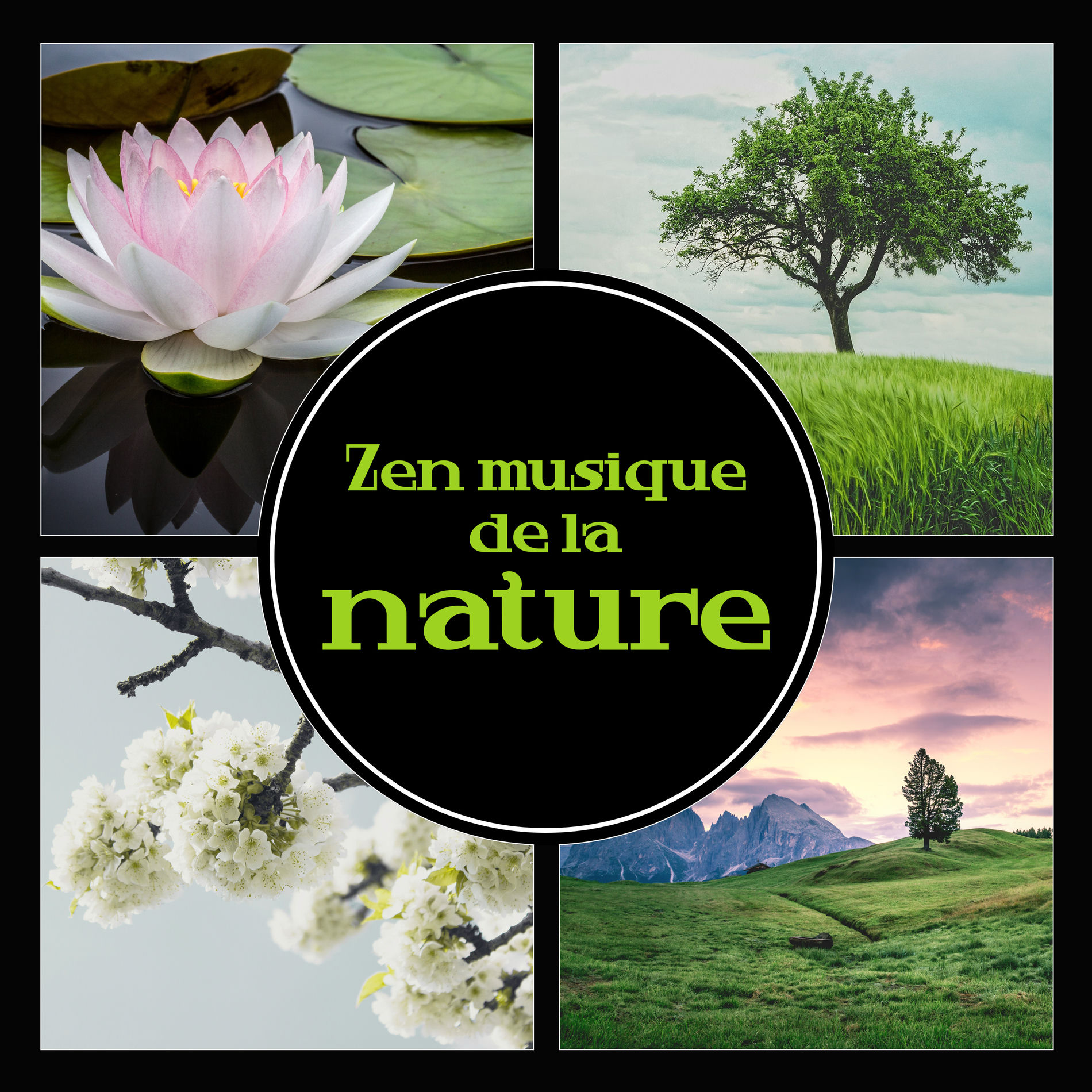 Collection de Nature Sons de Méditation