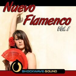 Shockwave-Sound