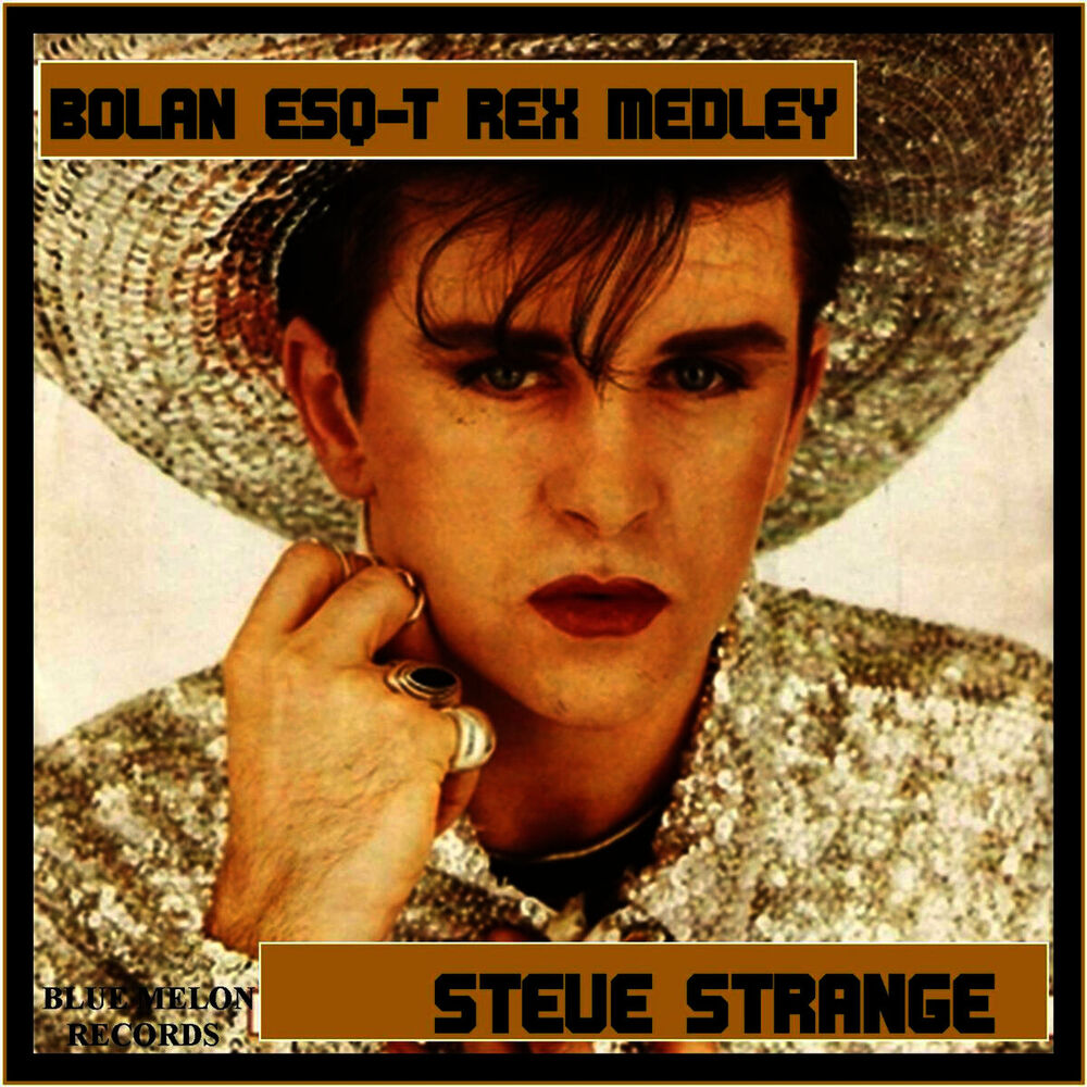 Picture of Steve Strange