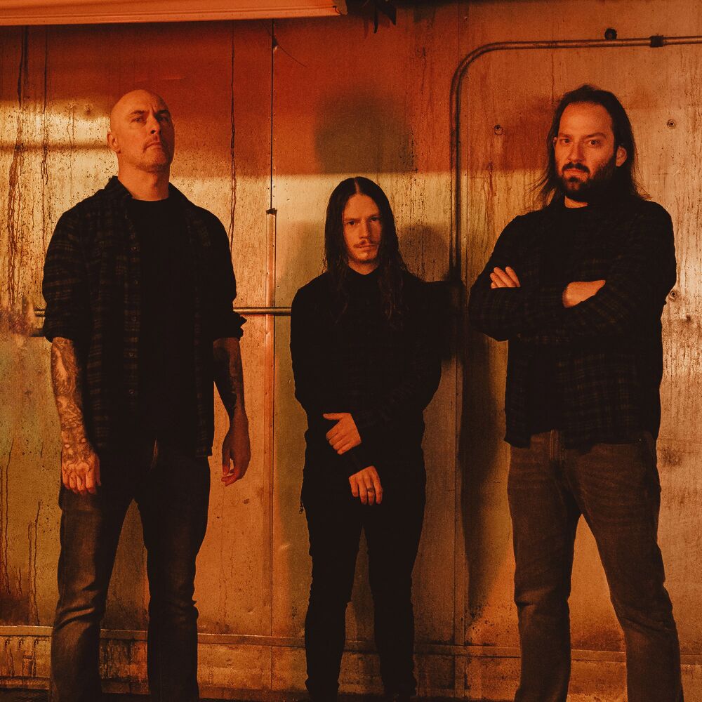 Picture of Aborted
