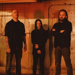 Picture of Aborted