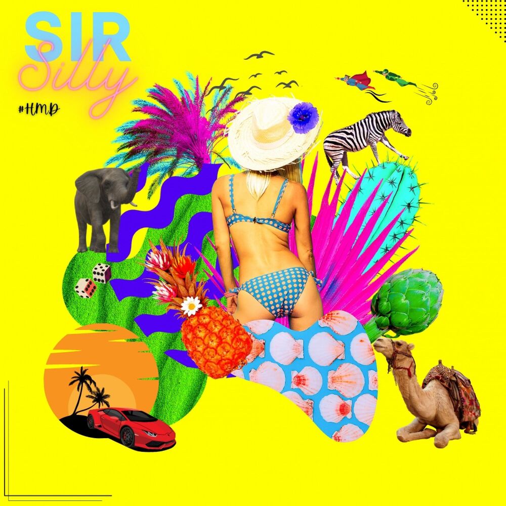 Picture of Sir Silly