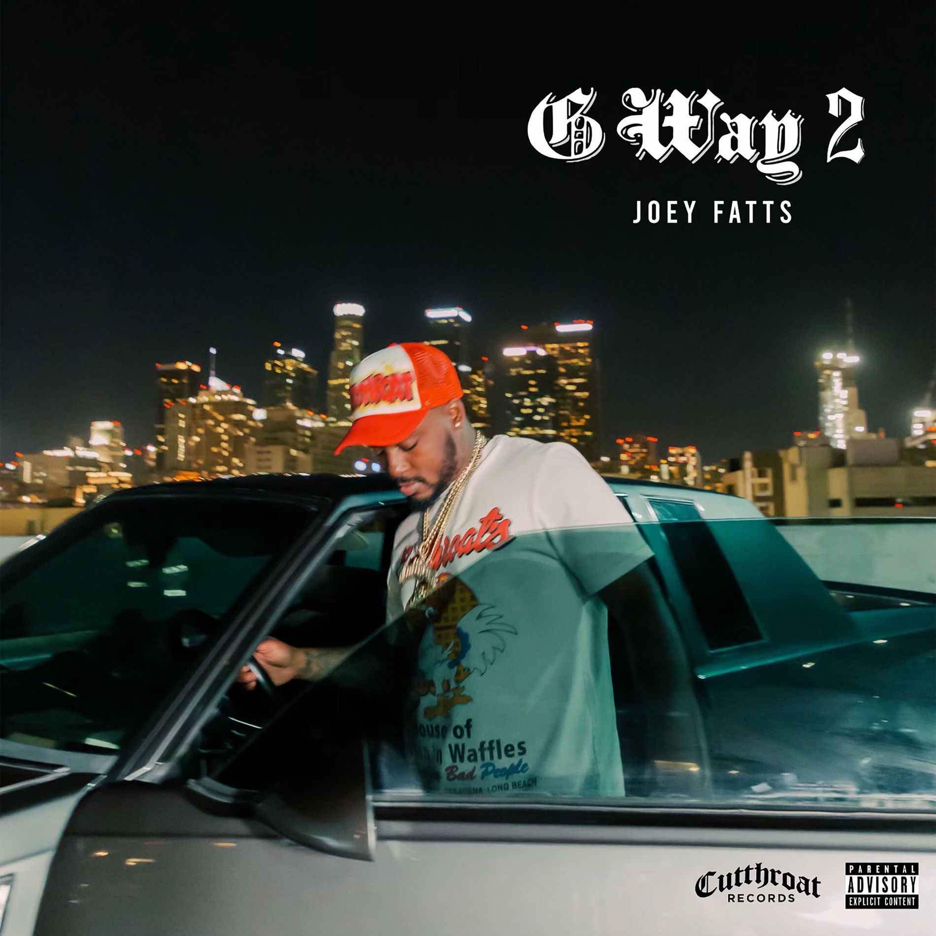 Artist picture of Joey Fatts