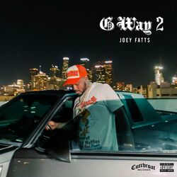 Picture of Joey Fatts