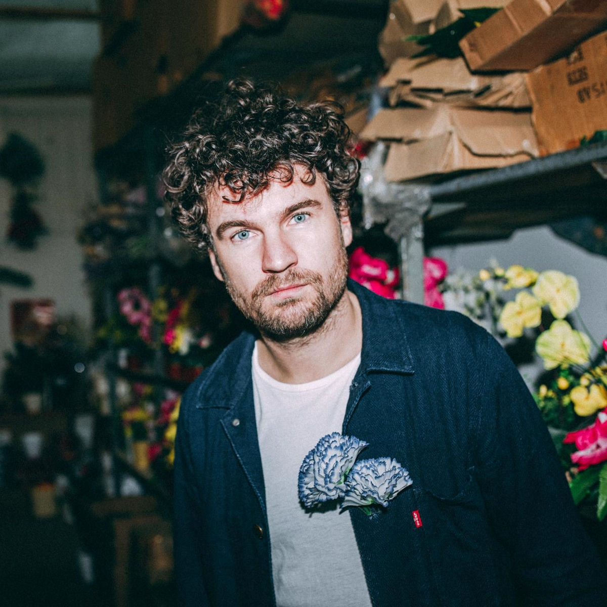 Artist picture of Das Paradies