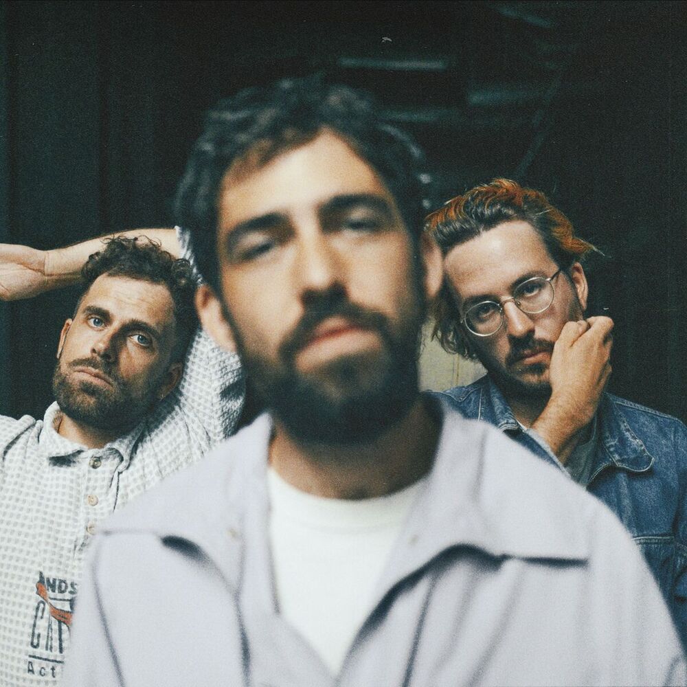 Photo de l'artiste Mad Foxes