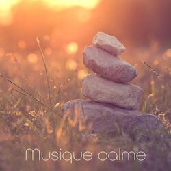 Picture of Bien-être Spa Musique Collection
