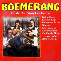 Picture of Boemerang
