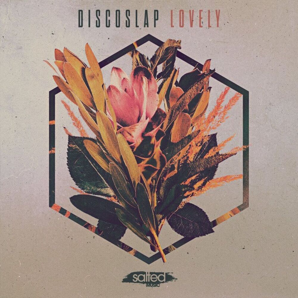 Picture of Discoslap