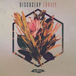Picture of Discoslap