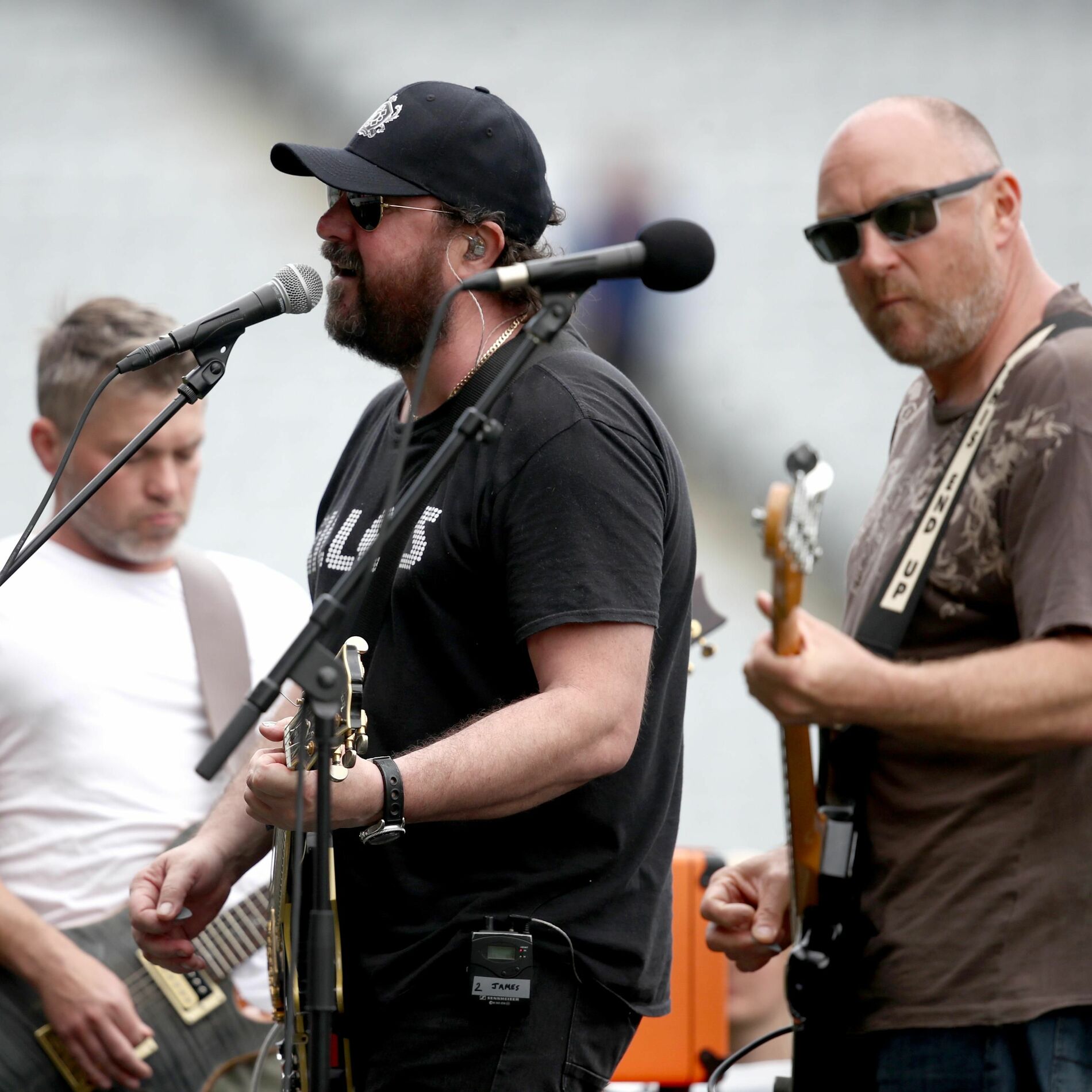 the feelers