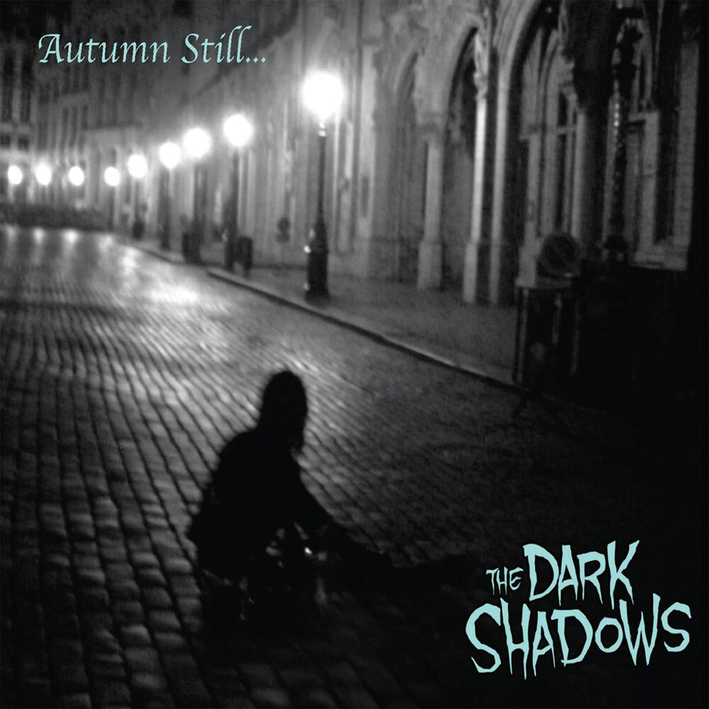Picture of The Dark Shadows