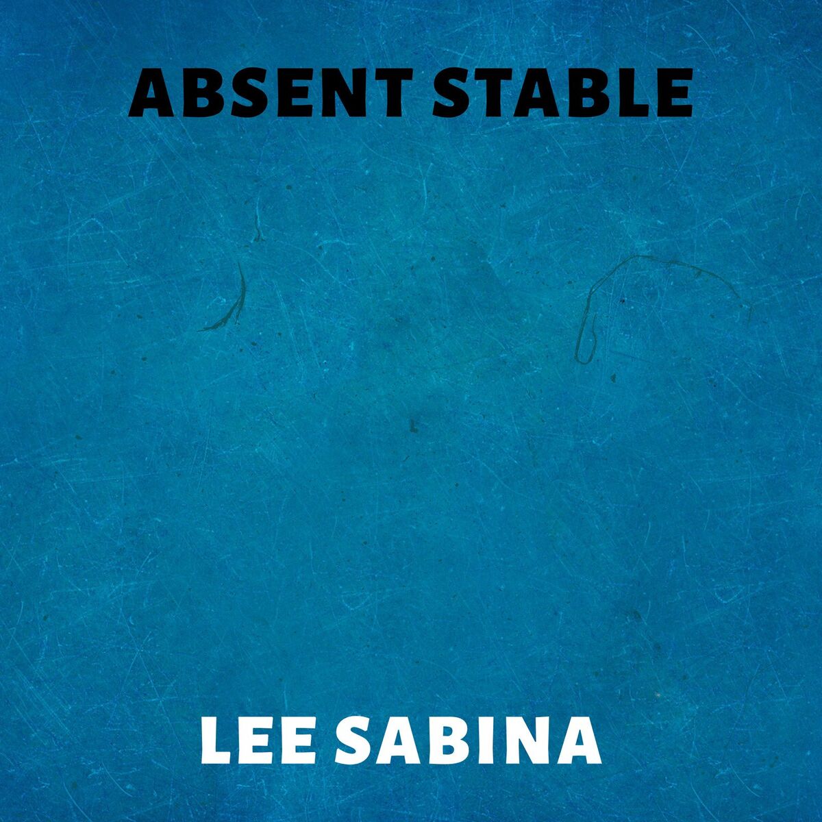 Lee Sabina