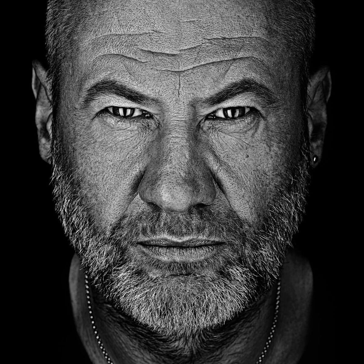 Artist picture of Fish