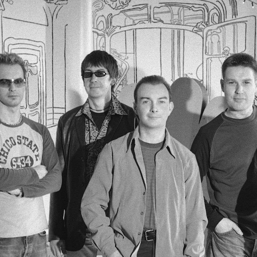 Picture of Down to the Bone