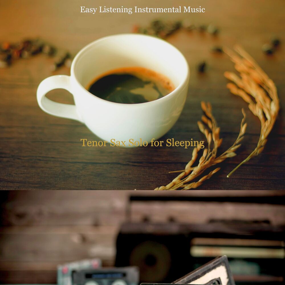 Picture of Easy Listening Instrumental Music