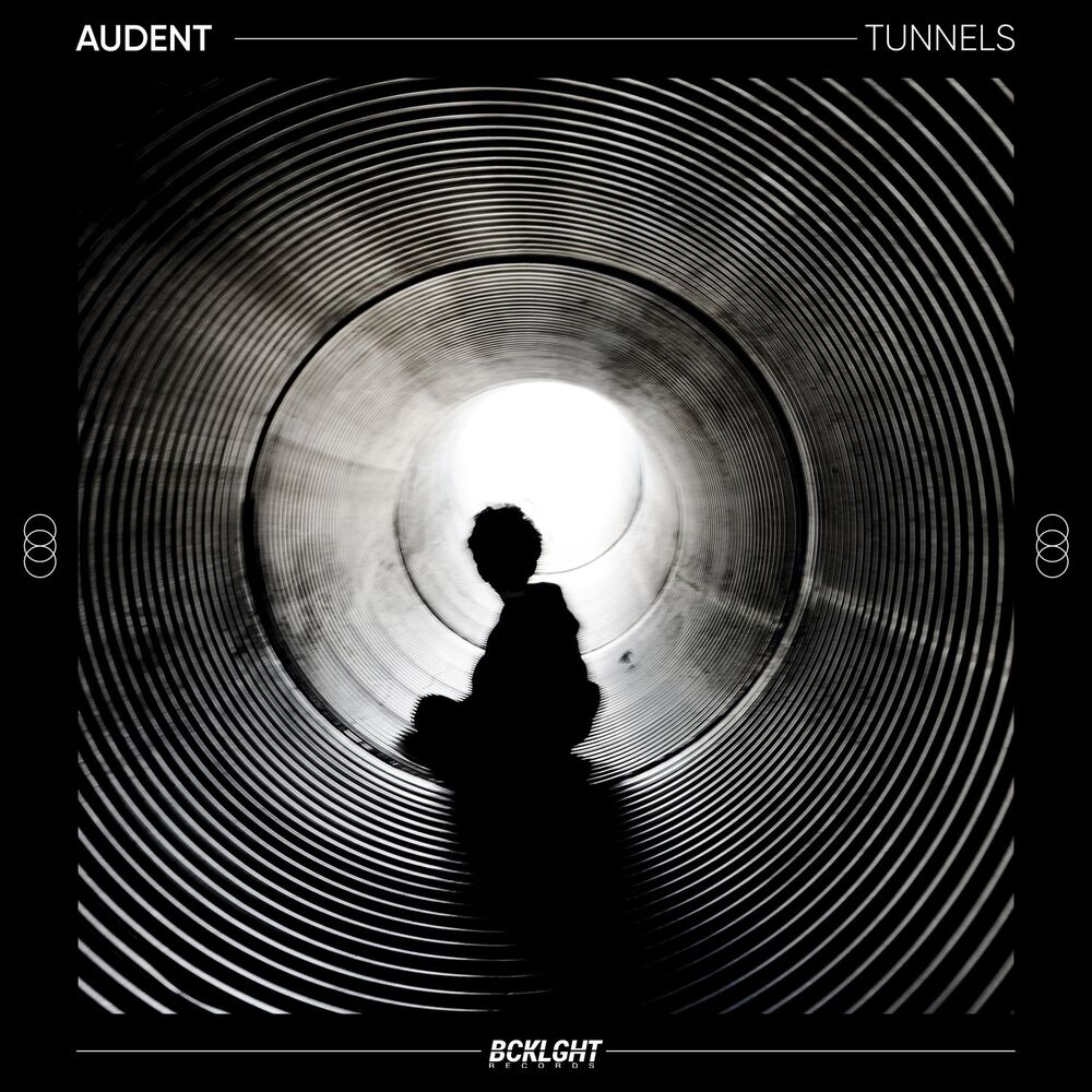 Picture of Audent