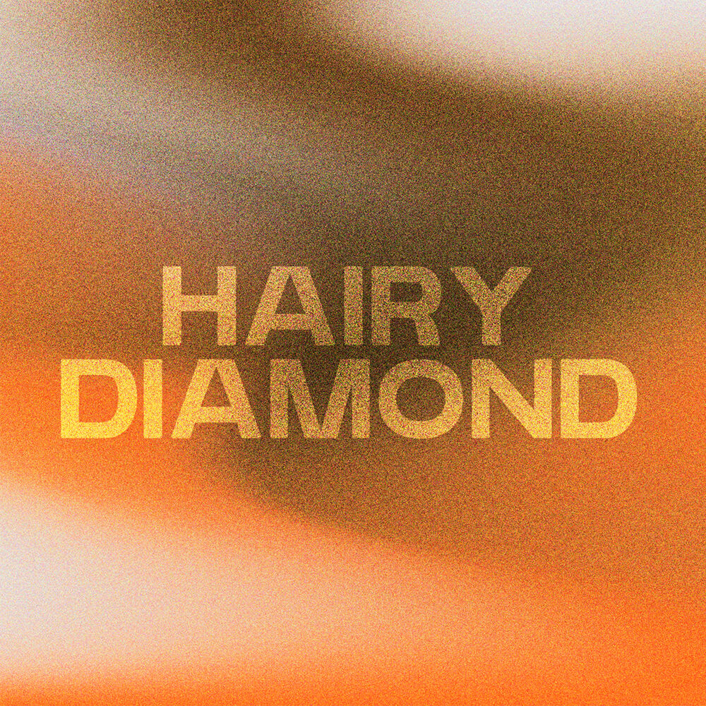 Picture of Hairy Diamond
