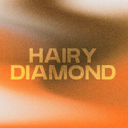 Picture of Hairy Diamond