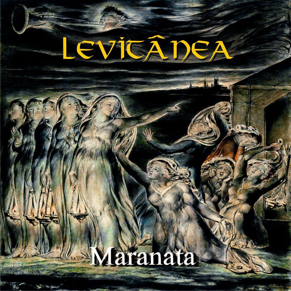 Picture of Levitânea