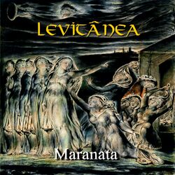 Picture of Levitânea