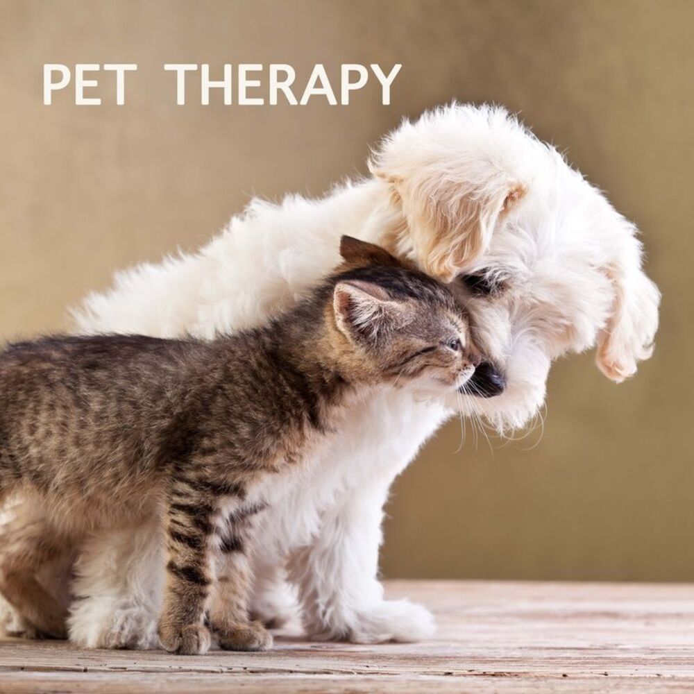 Picture of Pet Therapy Specialist