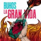 Buhos