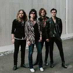 The Struts